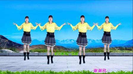 新歌新舞《梦中等着你》简单32步动感优美