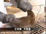 生财有道 生财有道 2010-12-23