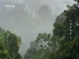 地理中国 《地理中国》 20171121 天坑奇观·打岱河神石（下）