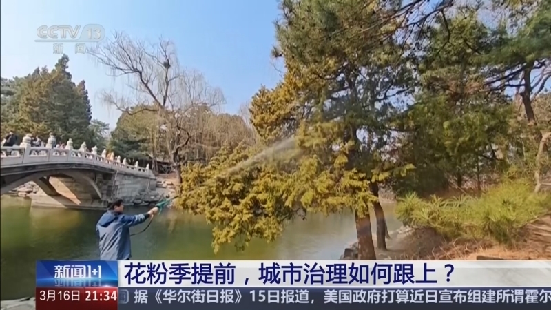 《新闻1+1》 20260316 花粉季提前，城市治理如何跟上？