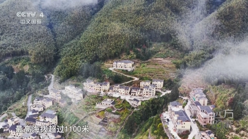 远方的家 《远方的家》 20260501 岭南新粤章 山海交融焕新颜