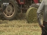 我爱发明 《我爱发明》 20160618 燕麦收割侠
