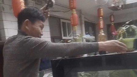 绝了！自己在家养的鱼自己钓