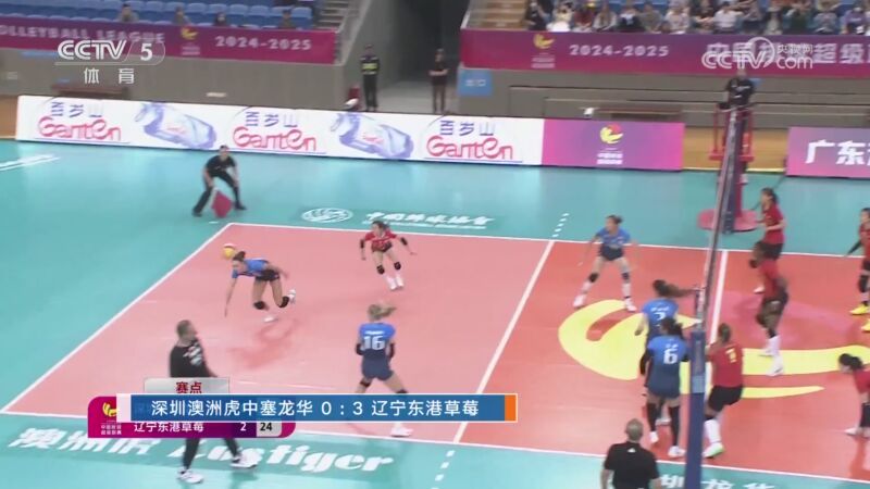 体坛快讯 [体坛快讯]完整版 20241113