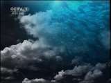 人与自然 大漠情深（上） 人与自然20110120