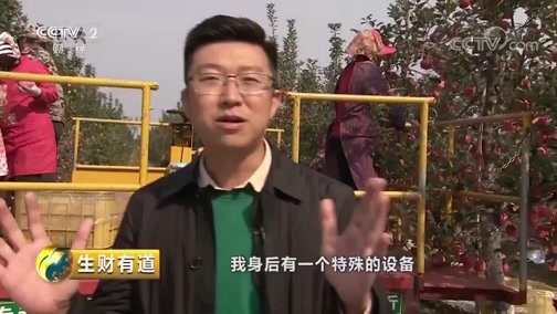 生财有道 《生财有道》 20181122 山东荣成：苹果“八仙会” 各个显神通