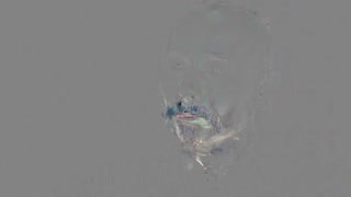 马可波罗 从历史走进现代08 黄金水道