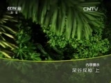 地理中国 《地理中国》 20160530 深谷探秘（上）