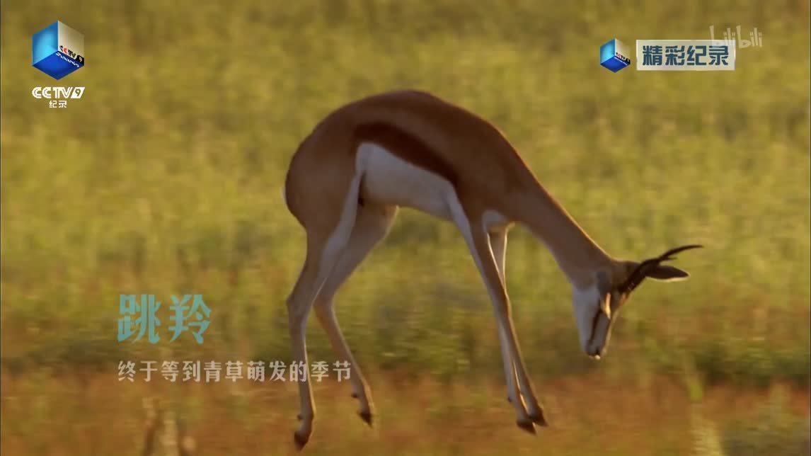 平通派出所（上）