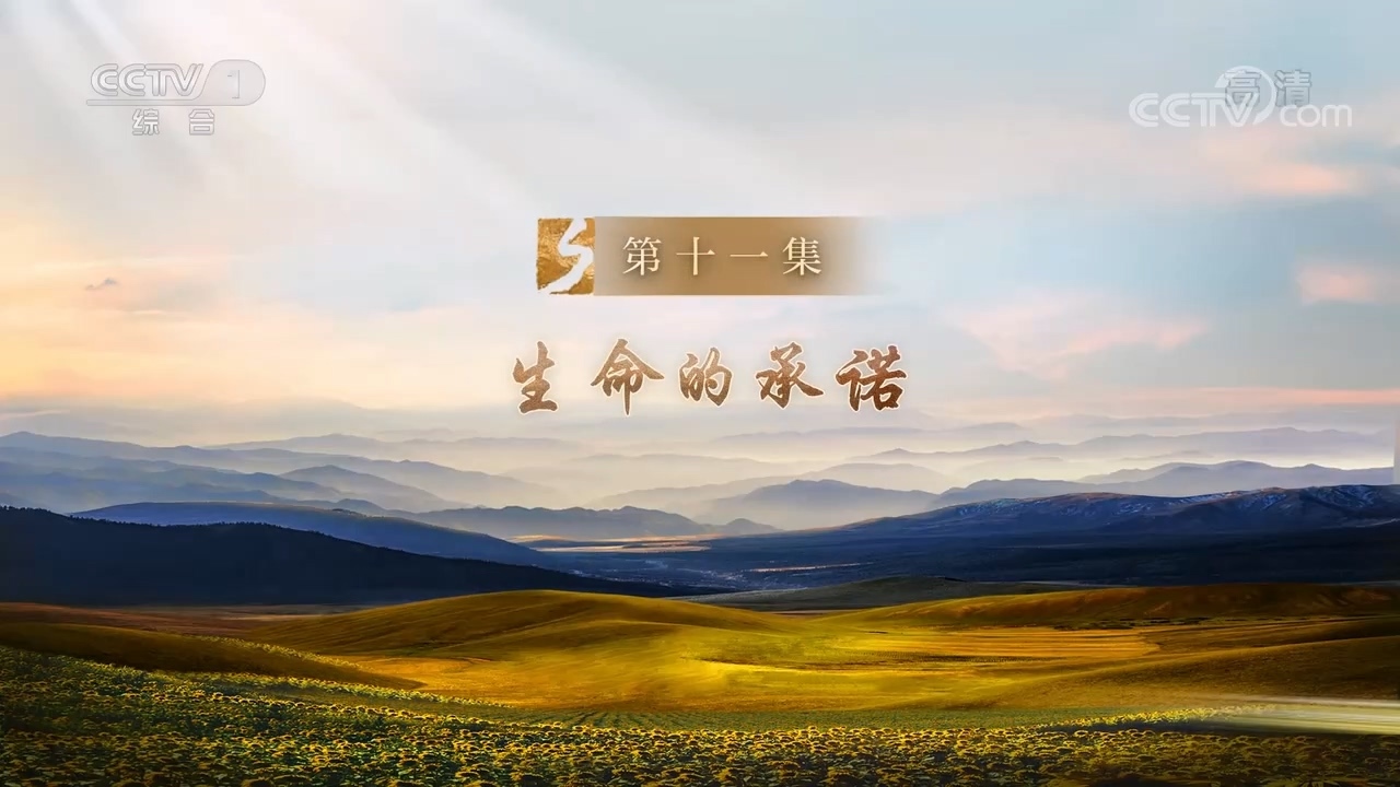 征程 《征程》 第11集 生命的承诺