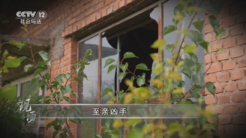 现场 《现场》 20250913 至亲凶手