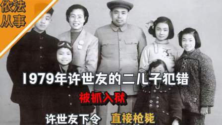 趣谈文史 许世友的二儿子犯错，被抓入狱，许世友下令直接枪毙