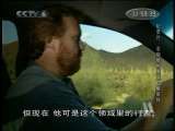 动物世界 动物世界 毛蜘蛛和里克·维斯特