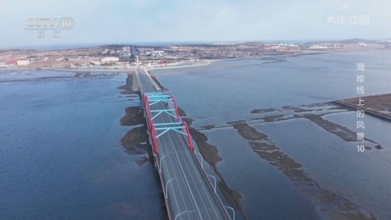 《地理·中国》 20260311 海岸线上的风景10