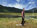 地理中国 《地理中国》 20170105 冬日奇景·海雕谜影（上）