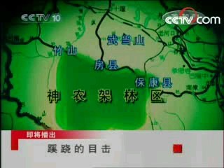 走近科学 蹊跷的目击