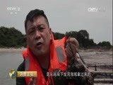 消费主张 《消费主张》 20170704 中国夜市全攻略（南宁篇）