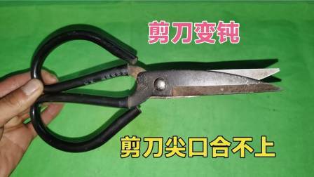 才知道，原来剪刀上放一个螺丝母，不用磨不用敲打，立马锋利如新