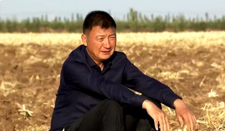 致富经 《致富经》 20191112 戈壁滩上的芳香财富