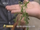 中国财经报道 《中国财经报道》 20151024 酷老头创业传奇