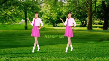 流行DJ广场舞及教学 第三季 DJ广场舞《走不出你的爱》32步附教学，动感好学