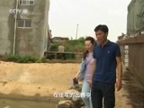 走近科学 《走近科学》 20150922 螃蟹大赛之勇夺金蟹奖