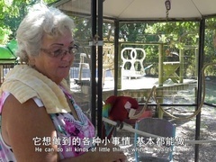 家有猛宠第1集