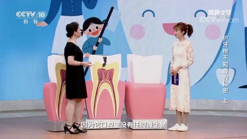 健康之路 《健康之路》 20190626 护牙你不知道的秘密（上）