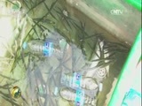 生财有道 《生财有道》 20170720 生态中国系列（沿海行）——大连海王九岛：依海生出夏天财