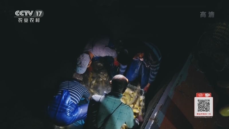 《丰收节的清晨》 20220923 福建