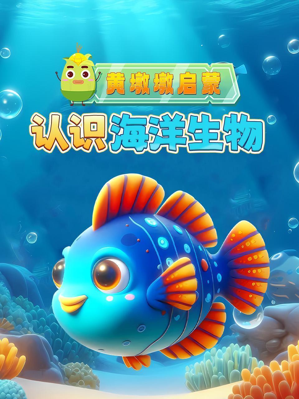 黄墩墩启蒙：认识海洋生物