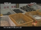 远方的家 《远方的家》 20130208 特别节目 民间的盛典