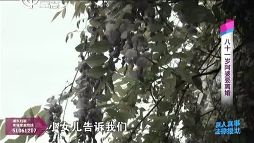 甲方乙方 八十一岁阿婆要离婚