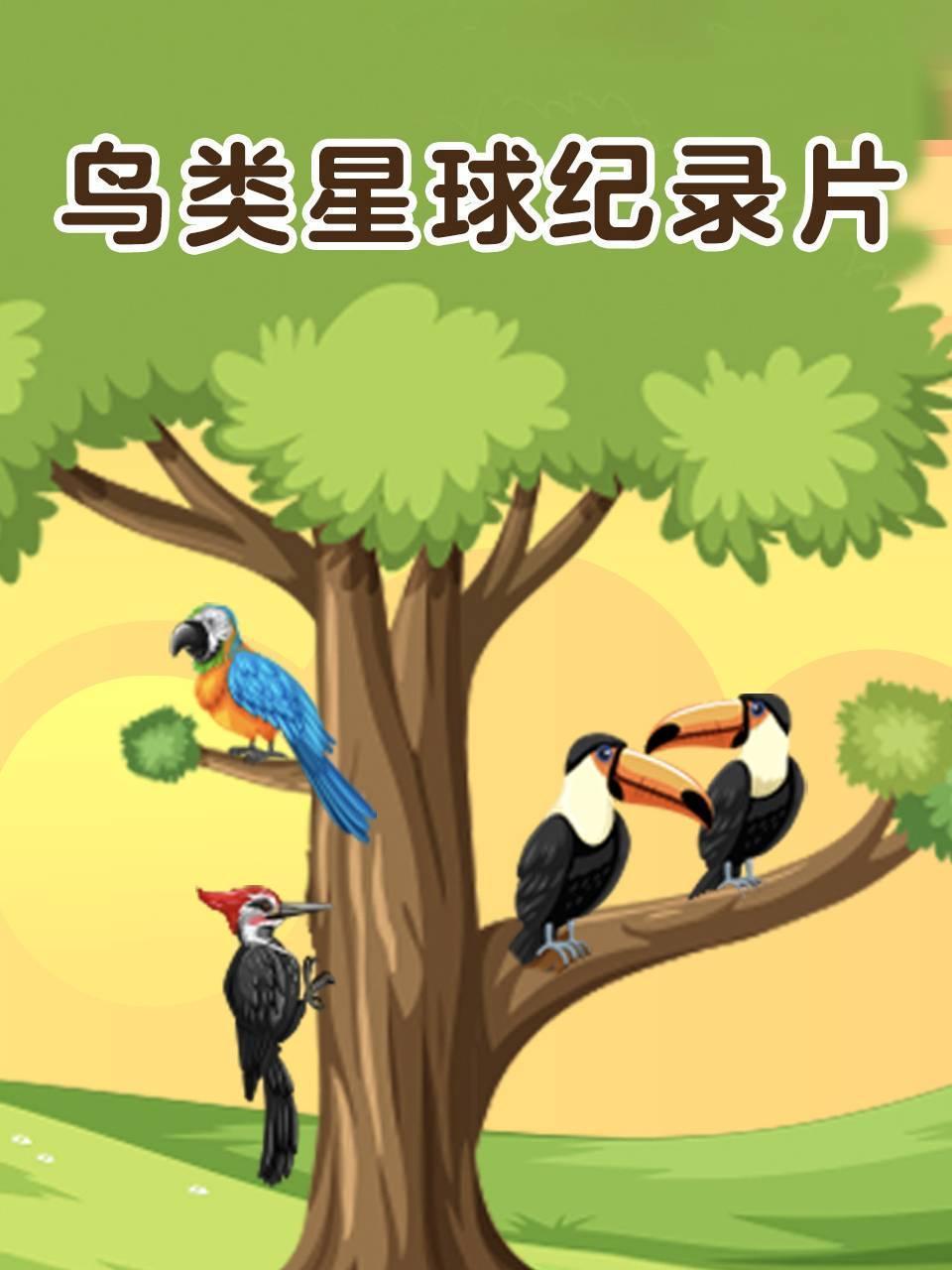 鸟类星球纪录片