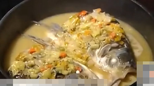 人气美食 霸气鱼头王！苗家生鱼头端上桌