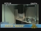 新闻袋袋裤 《新闻袋袋裤》 20130923