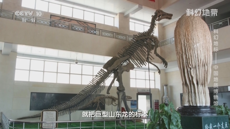 科幻地带 《科幻地带》 20221009 科幻地标——中国地质博物馆