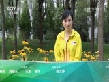 远方的家 《远方的家》长城内外特别节目 第11集 从食物中获得勇气 20160805