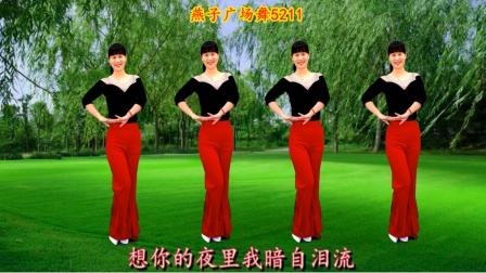 广场舞《想你的夜晚》柔柔的歌声，柔柔的舞，陶醉了！