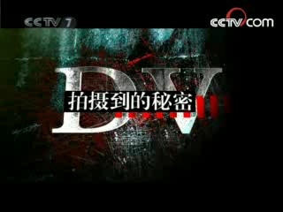 军事纪实 DV拍摄到的秘密