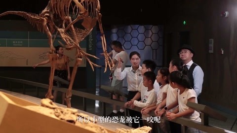 新闻雅痞 一块石头的秘密
