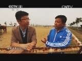 生财有道 《生财有道》 20141027 走盛装舞步的温血马