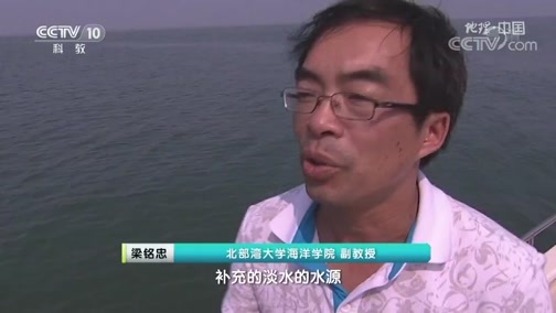 地理中国 《地理·中国》 20200704 生境迷踪·河口传奇
