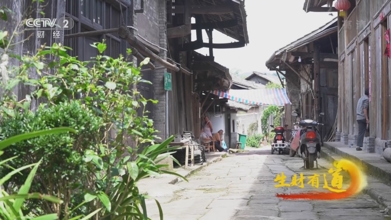 生财有道 《生财有道》 20220713 夏日经济系列——四川沐川：竹林深处 特色财富