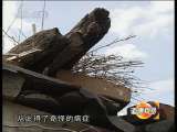 道德观察 道德观察（日播版） 2010年 第272期 十一岁的顶梁柱