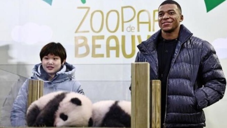 体育24小时速递 圆嘟嘟欢黎黎! 张家齐姆巴佩同框现身旅法大熊猫命名仪式