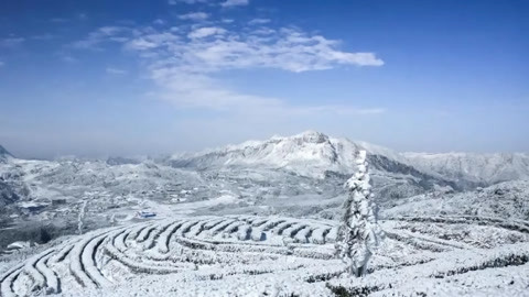 特别关注20210216