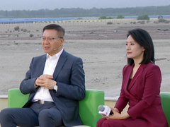 沙漠绿色奇迹
