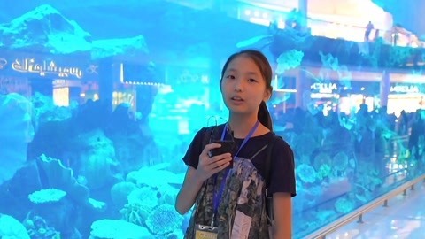 音乐涂鸦乐园 章鱼哥哥迪拜行2探寻世界之最