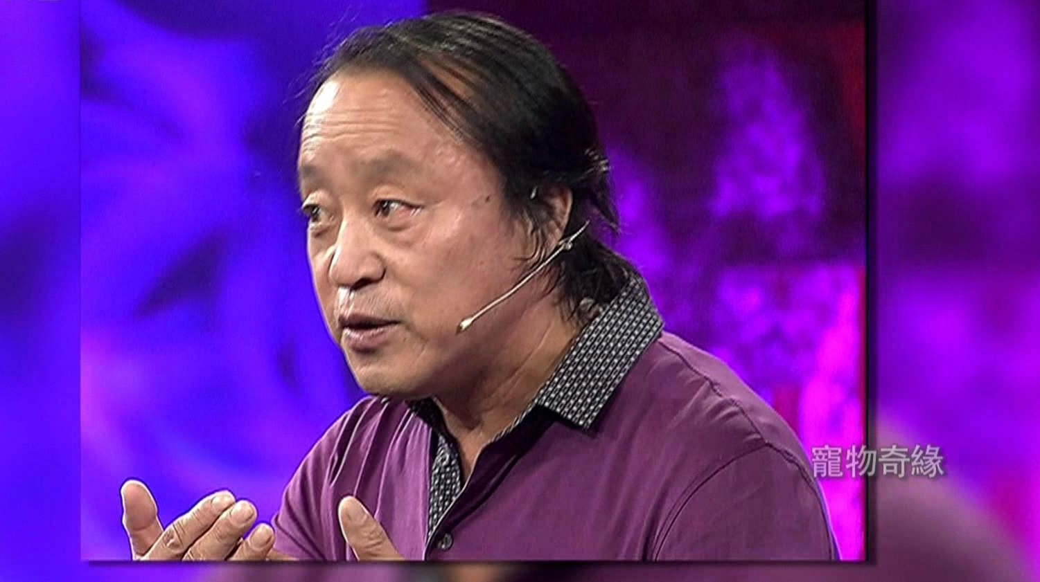 鲁豫有约 宠物情缘